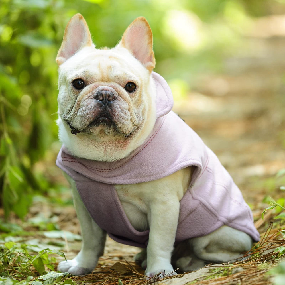 VIVAGLORY Softpad fleece vest on a dog during spring walk for breezy comfort