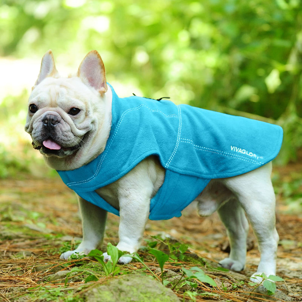 VIVAGLORY Softpad fleece vest turquoise reflective trim for visibility