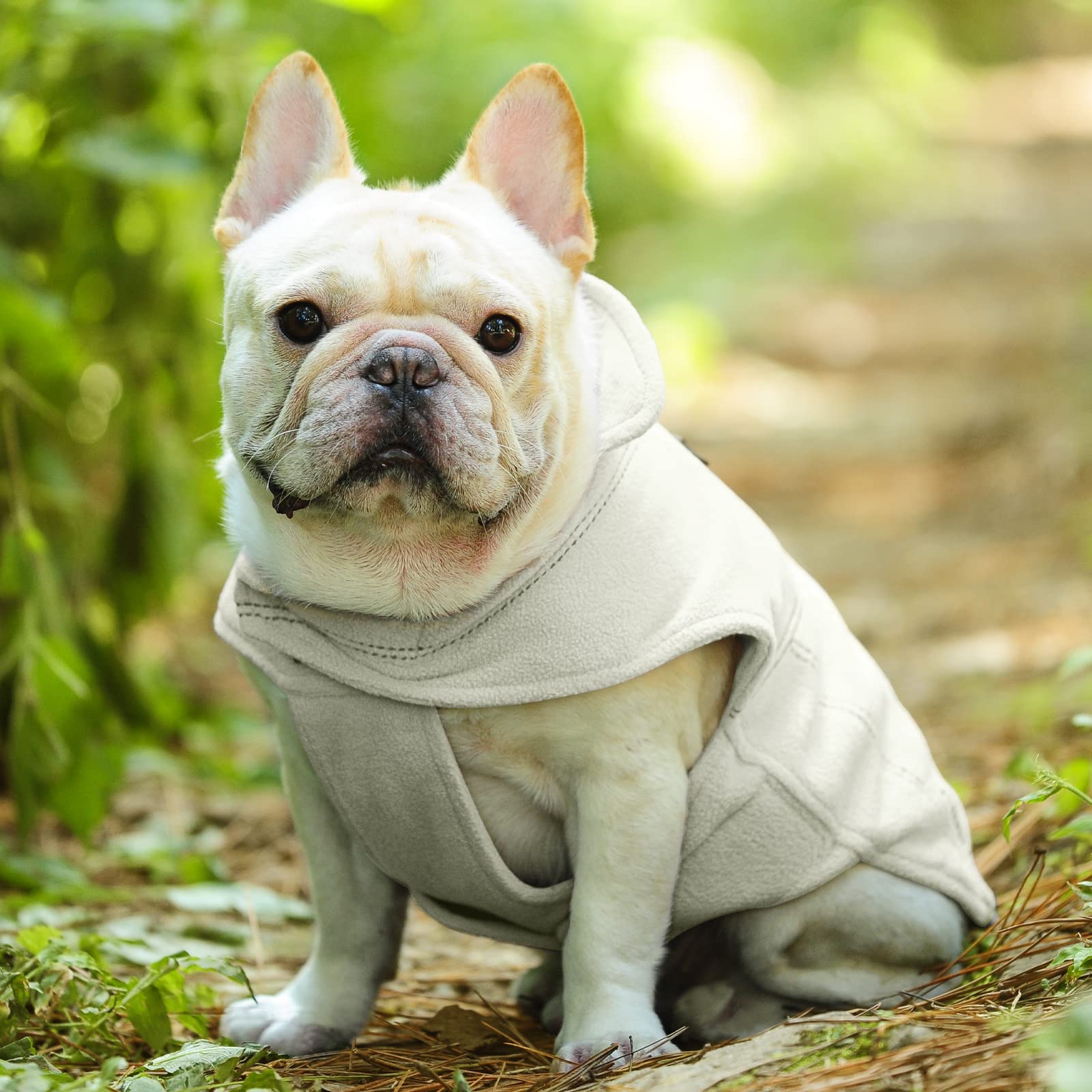VIVAGLORY Softpad dog fleece vest machine-washable for easy care after adventures.