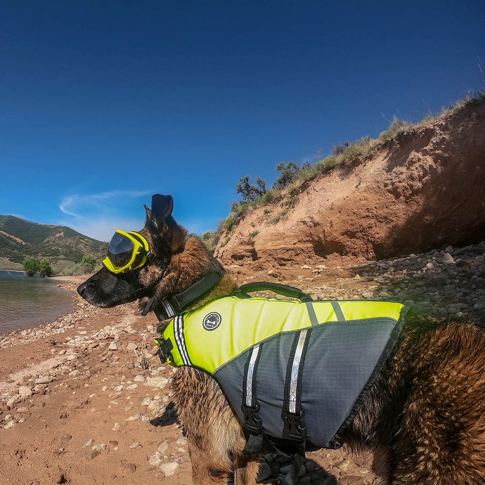 VIVAGLORY Sports Style Dog Life Vest with adjustable straps for a secure, custom fit.
