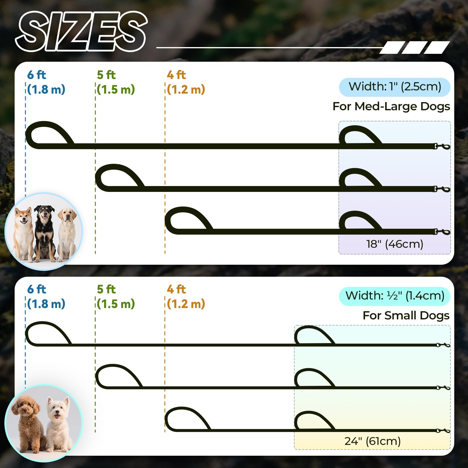 VIVAGLORY Twingrip leash available in 4ft to 6ft lengths.
