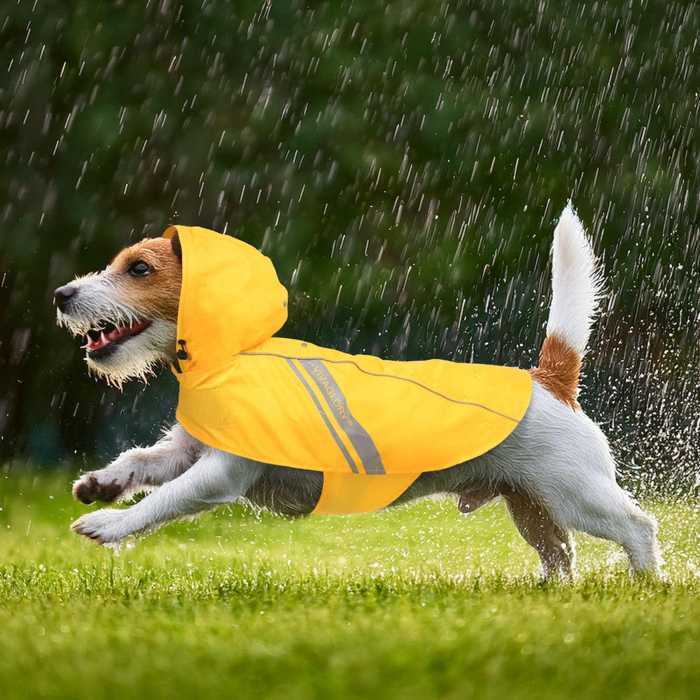 VIVAGLORY Wetoff dog wearing raincoat during a drizzle for an outdoorsy look