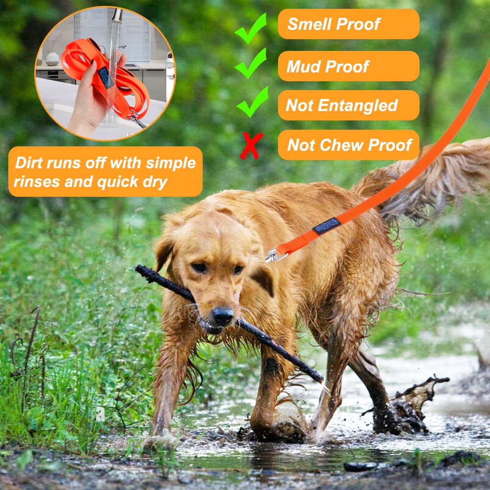 Vivifying 32ft long leash designed for durability with large dogs and varied conditions.