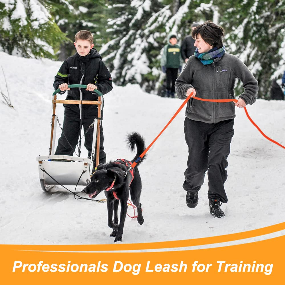 Vivifying leash on beach scene highlights waterproof performance for swimming and outdoor adventures.