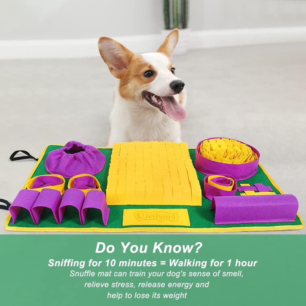 Vivifying Snuffle Mat puppies-cats-use-case – suited for small pets with daily enrichment.