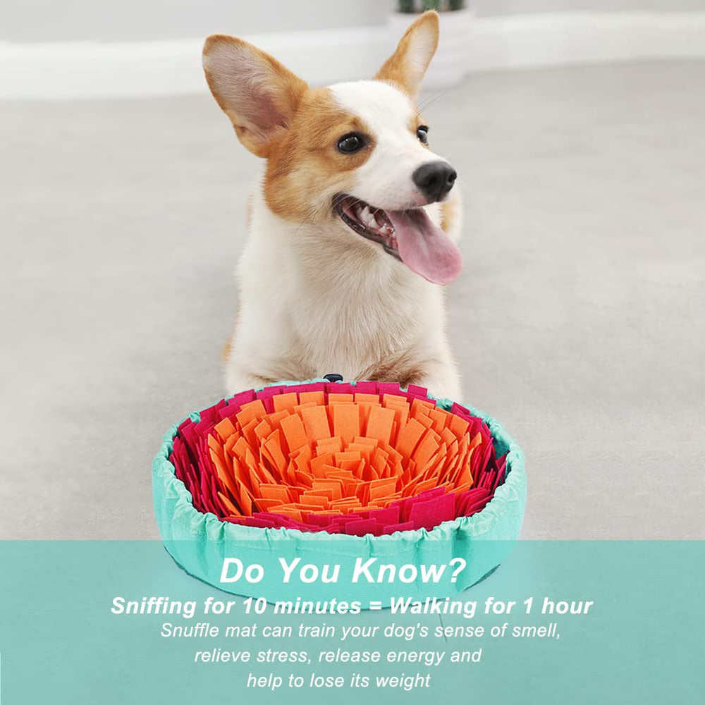 Vivifying Snuffle Mat size 17x17 inches fits small to medium dogs