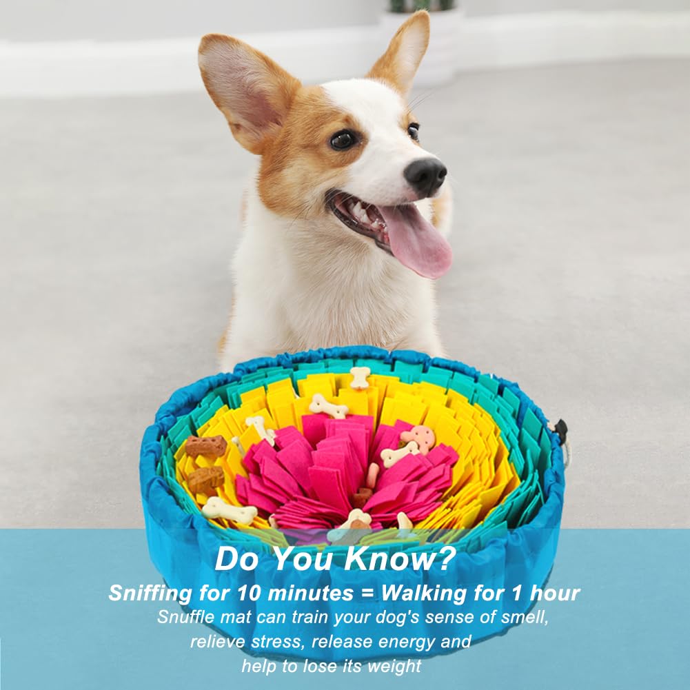 Vivifying Snuffle Mat supervised-use reminder for safe exploration