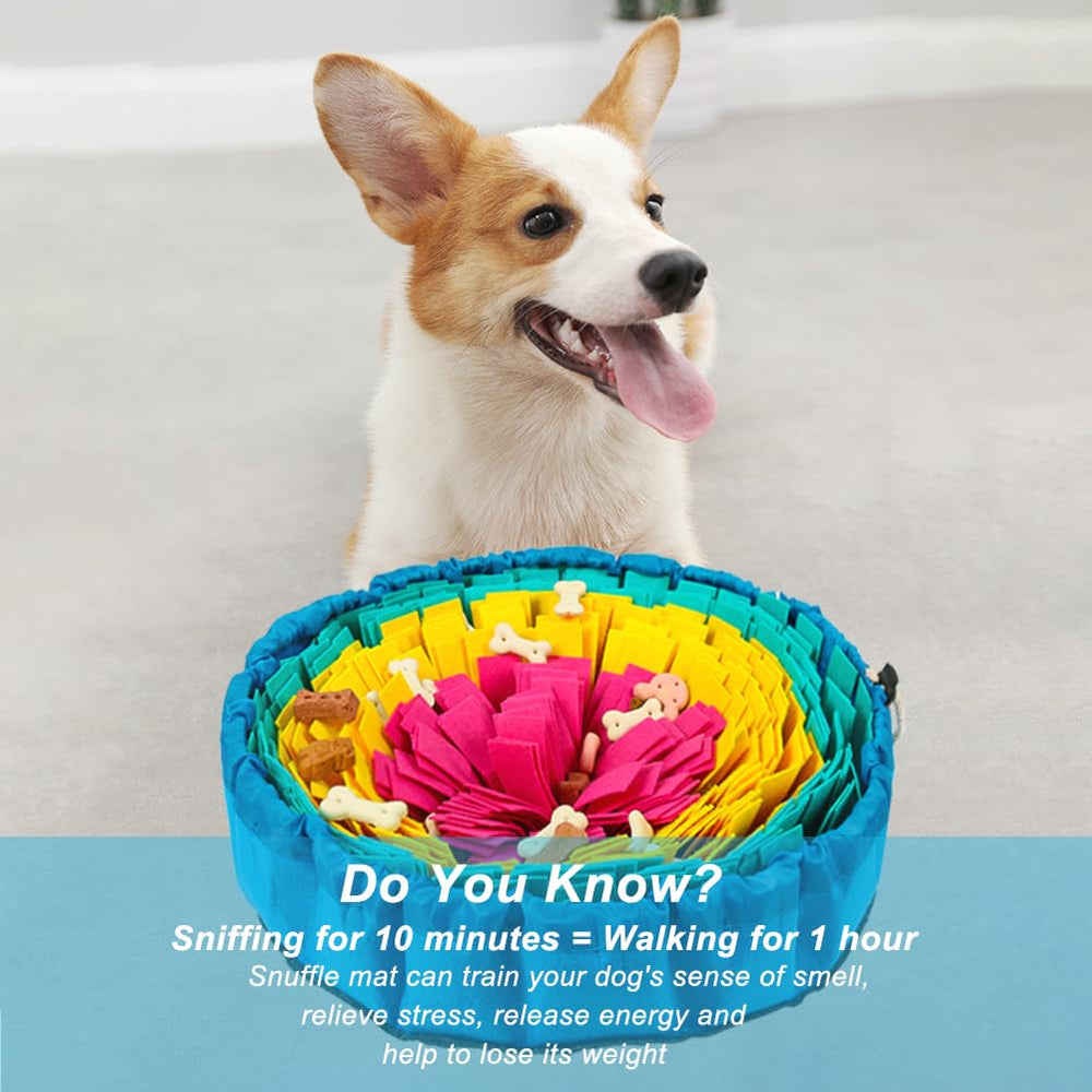 Vivifying Snuffle Mat supervised-use reminder for safe exploration