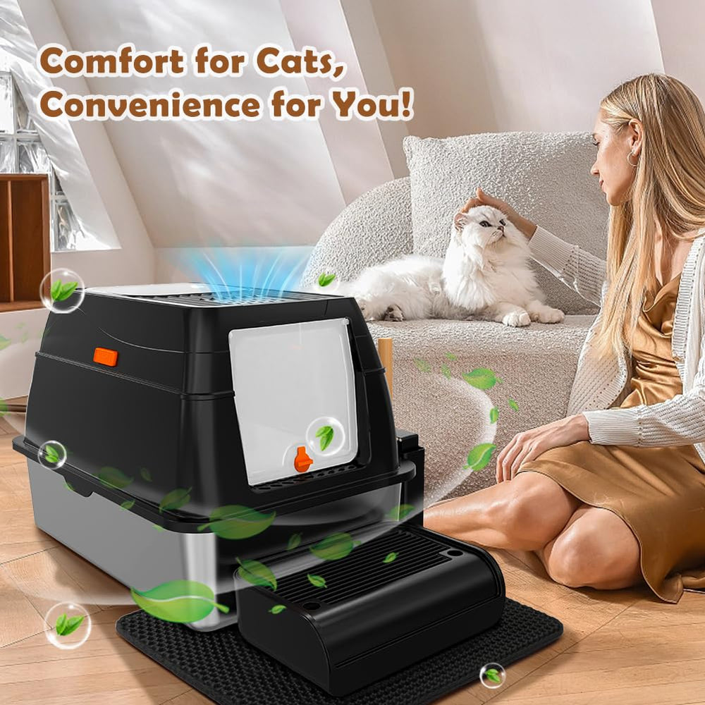 Vivifying footboard aids kittens and seniors with easy access