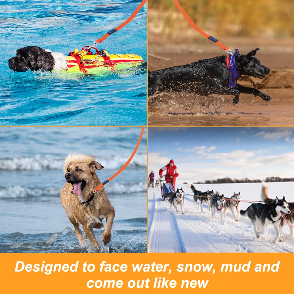 Vivifying training leash suitable for all dogs, balancing freedom with control.
