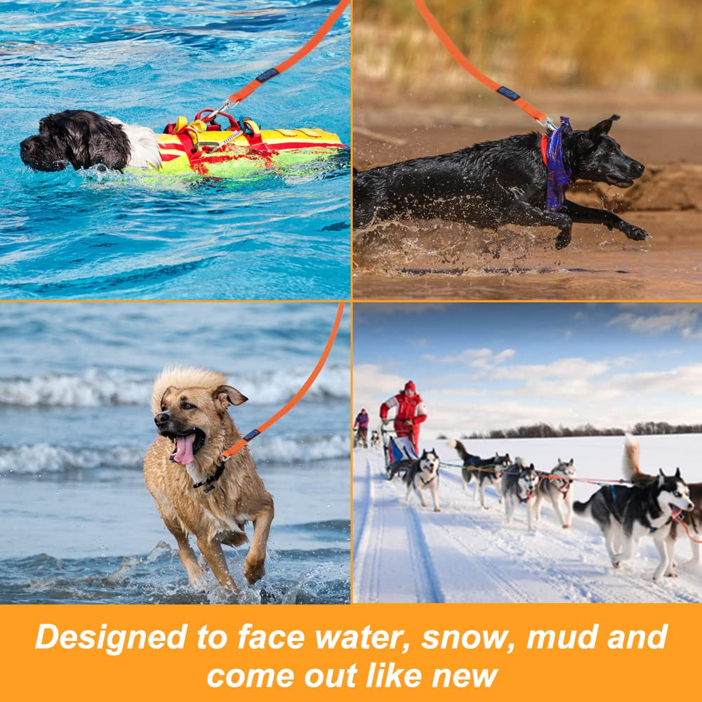 Vivifying training leash suitable for all dogs, balancing freedom with control.
