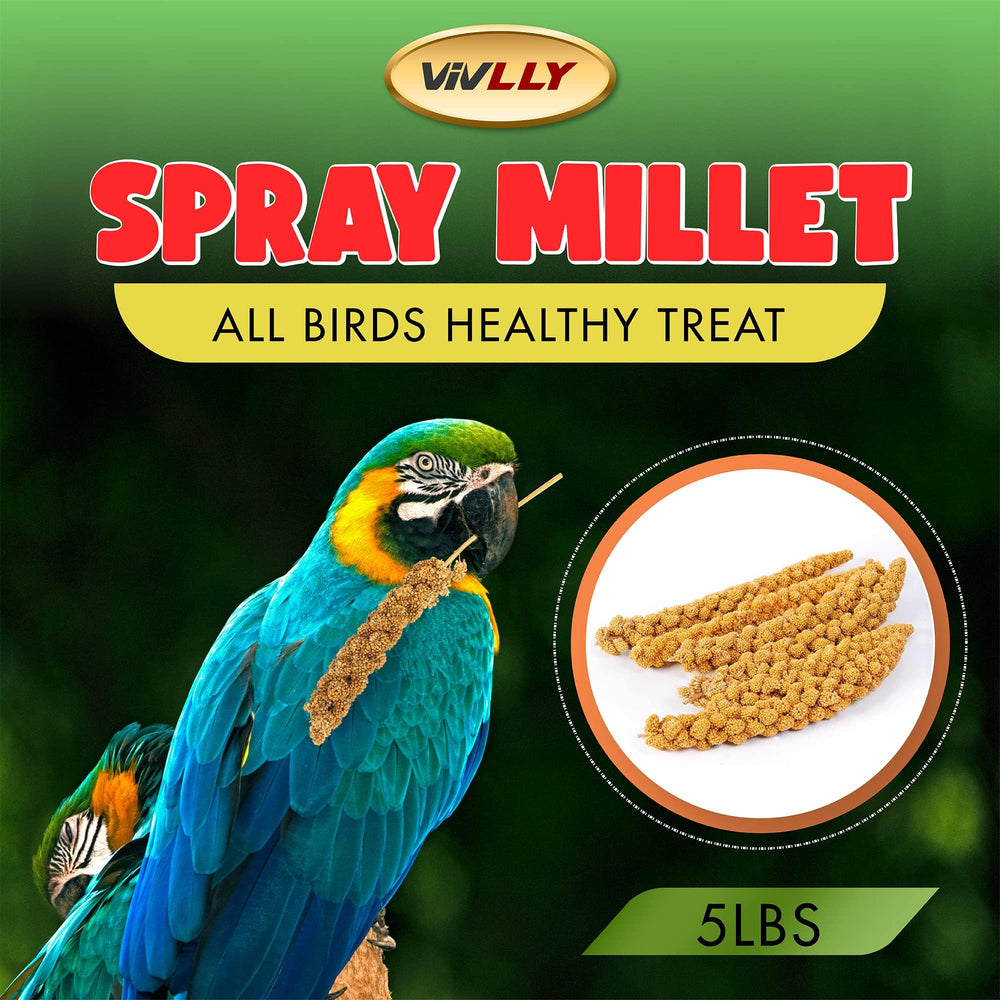 Vivlly amino acids rich millet boosts bird nutrition.