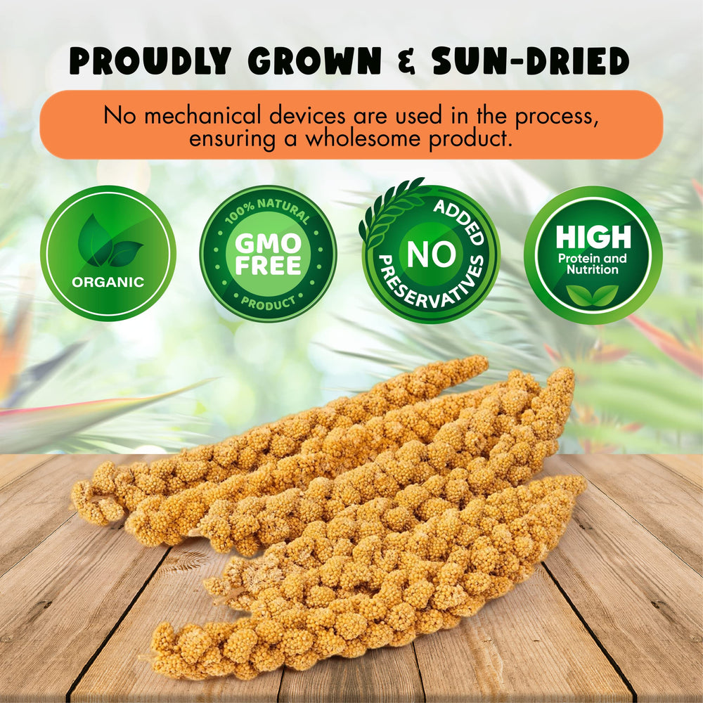 Vivlly bug-free sun-dried millet safe for indoor feeding.