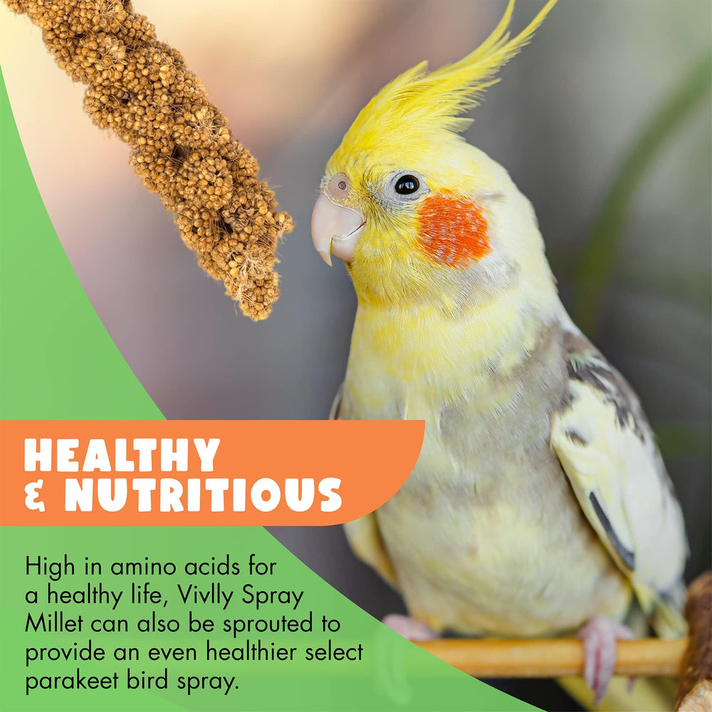 Vivlly non-GMO millet origin field highlights wholesome ingredients.