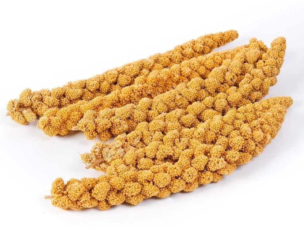 Vivlly millet sprouting option supports varied bird diets.