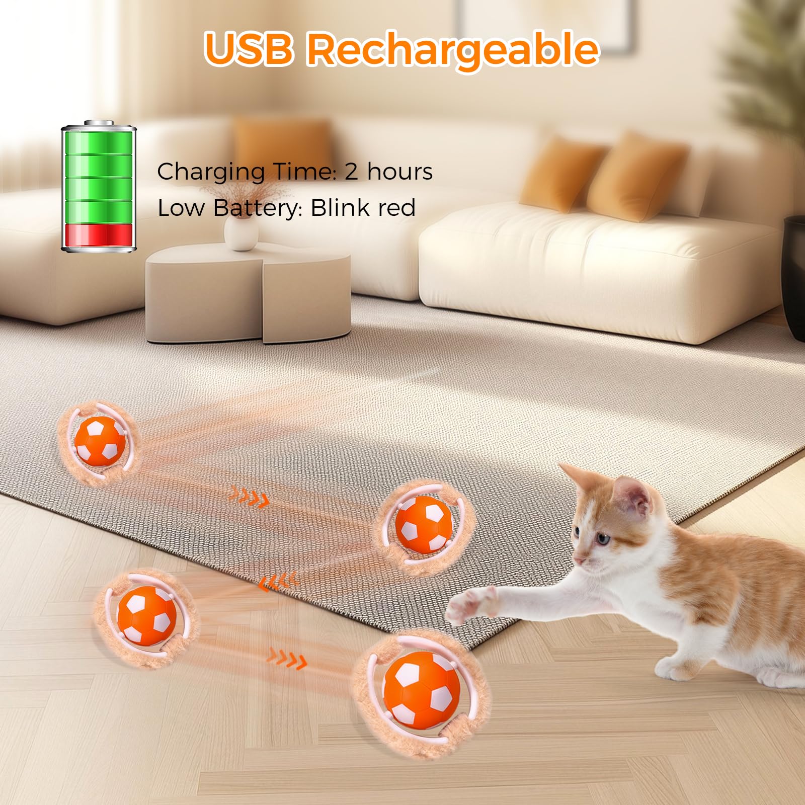 VIWIK low-noise-operation keeps cats calm during active sessions.