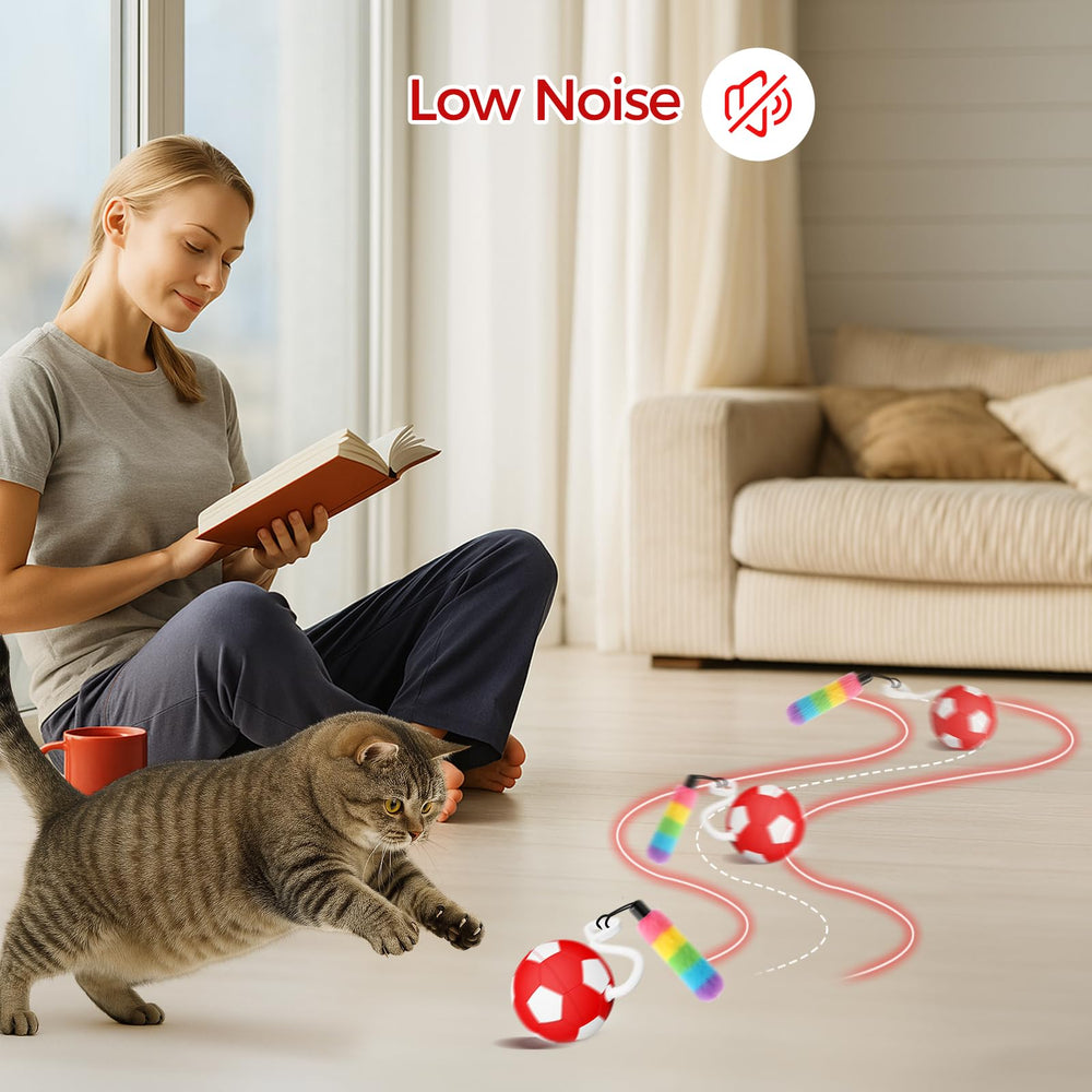 VIWIK interactive cat toy cleaning exterior reminder supports easy wipe maintenance