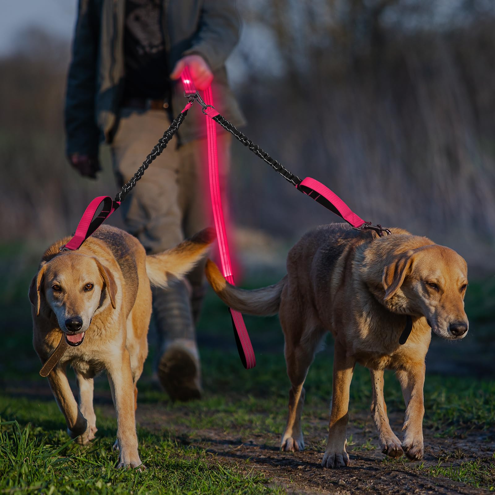 Vizbrite LED double dog leash glow modes for dusk outings
