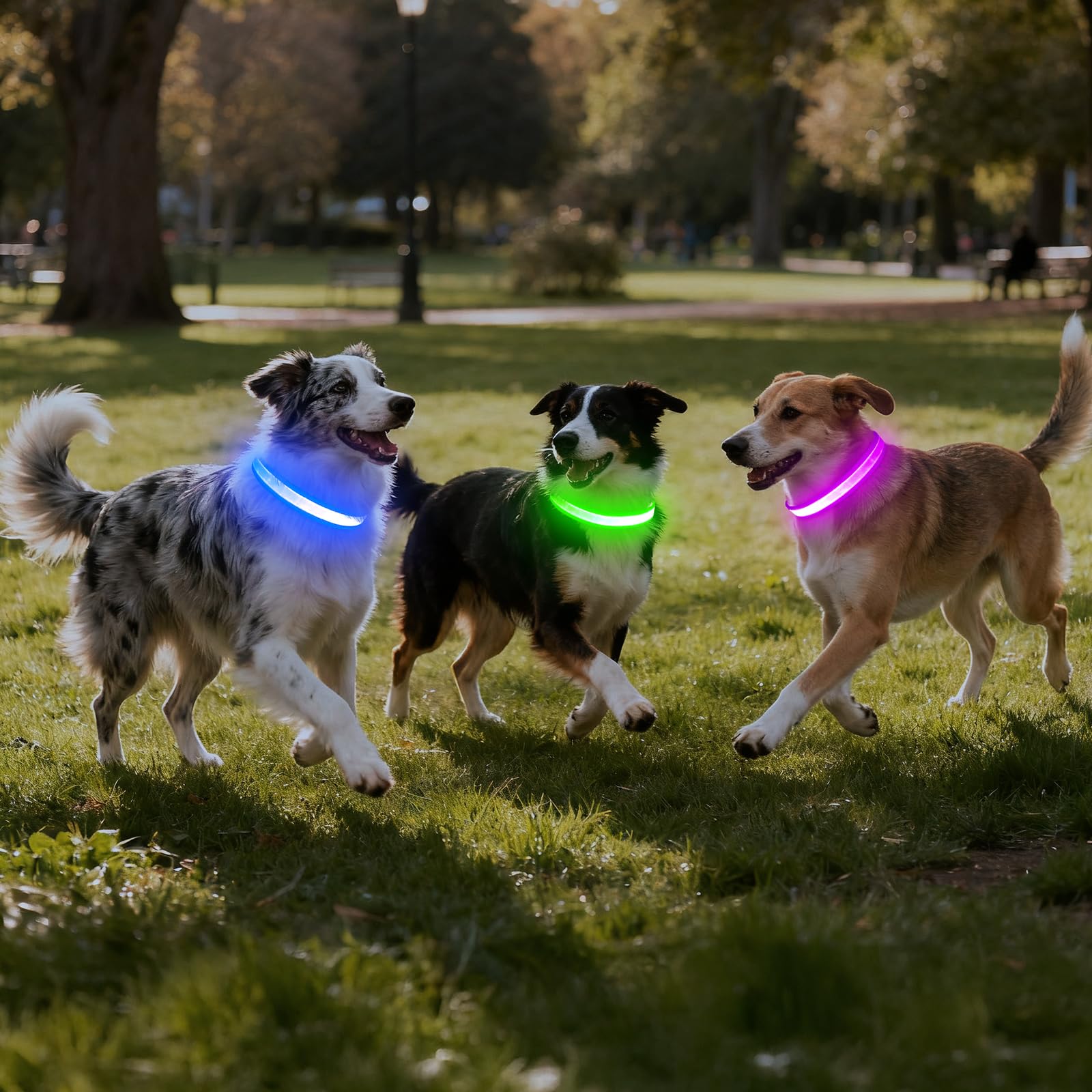 Collar Vizpet LED con anilla D fuerte para enganchar la correa con seguridad.
