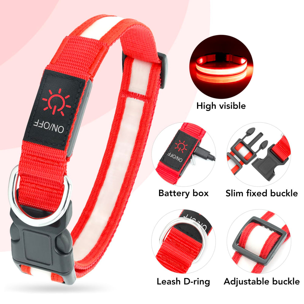 Vizpet collar LED recargable por puerto USB para uso diario