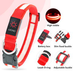 Vizpet collar LED recargable por puerto USB para uso diario