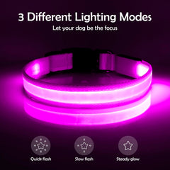 VIZPET collar LED morado, carga USB conveniente para recarga rápida.