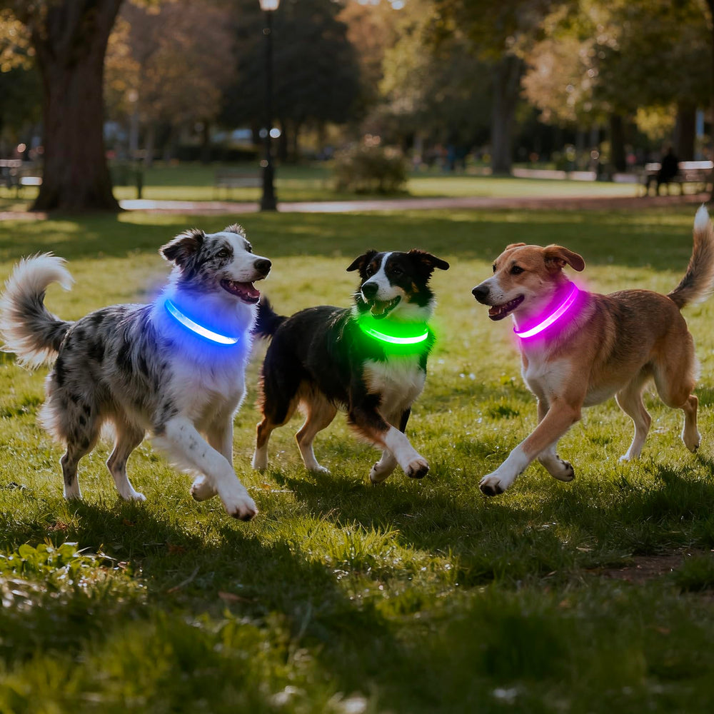 VIZPET collar LED morado, diseño ligero con fibra óptica plana para mayor comodidad.