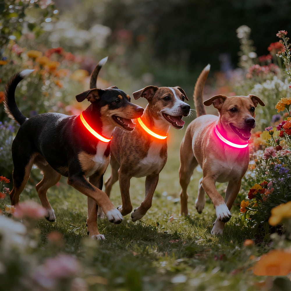 Vizpet collar LED con fibra óptica plana para iluminación uniforme