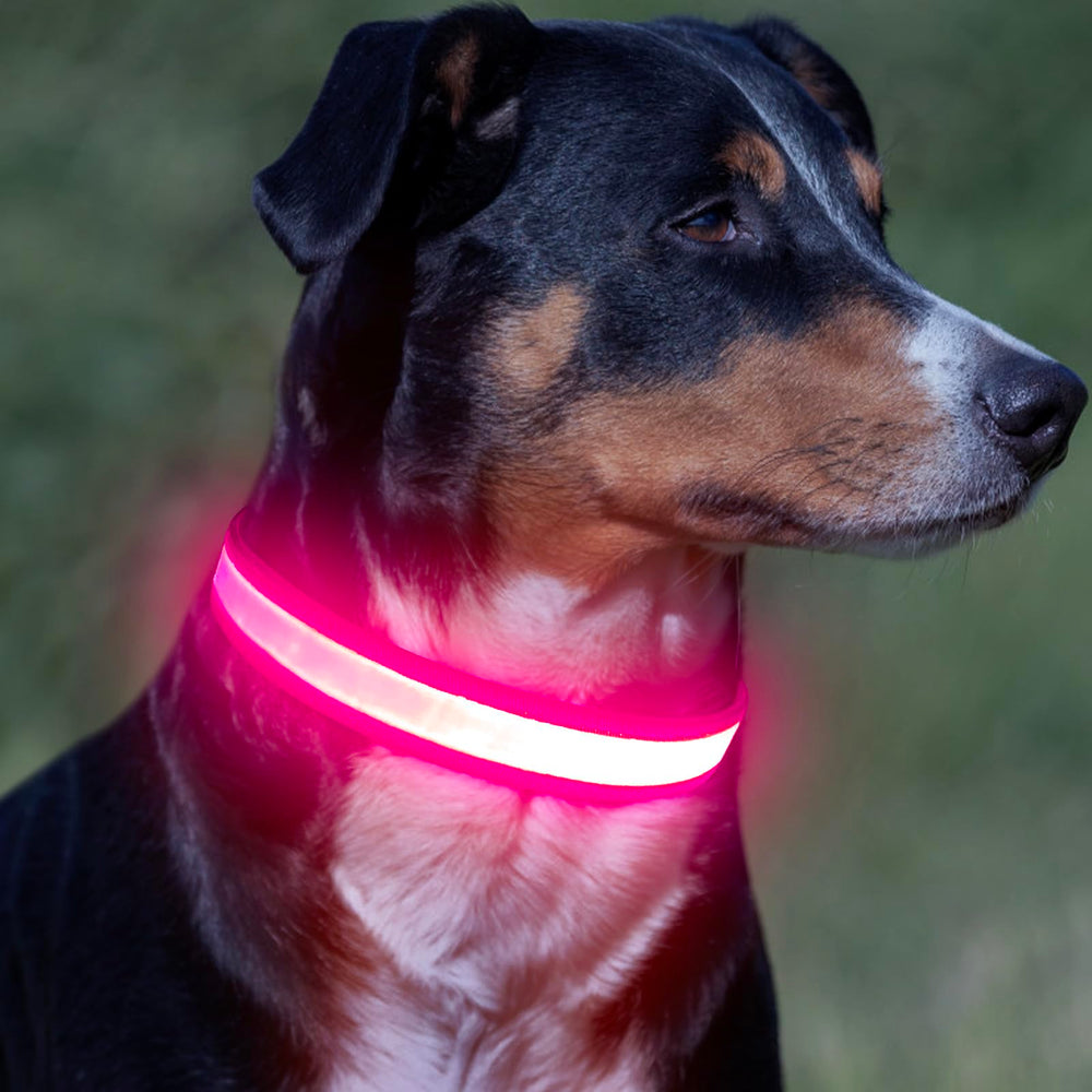 Vizpet LED: garantía de 180 días y atención rápida al cliente.