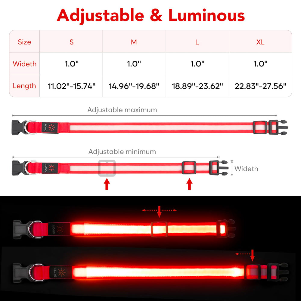 Vizpet collar LED ligero y cómodo para paseos largos