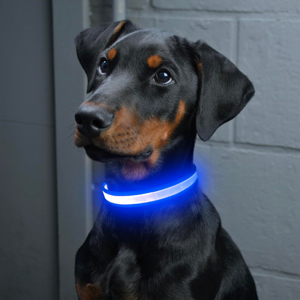 Vizpet collar LED hecho de TPU cómodo y resistente para uso diario.