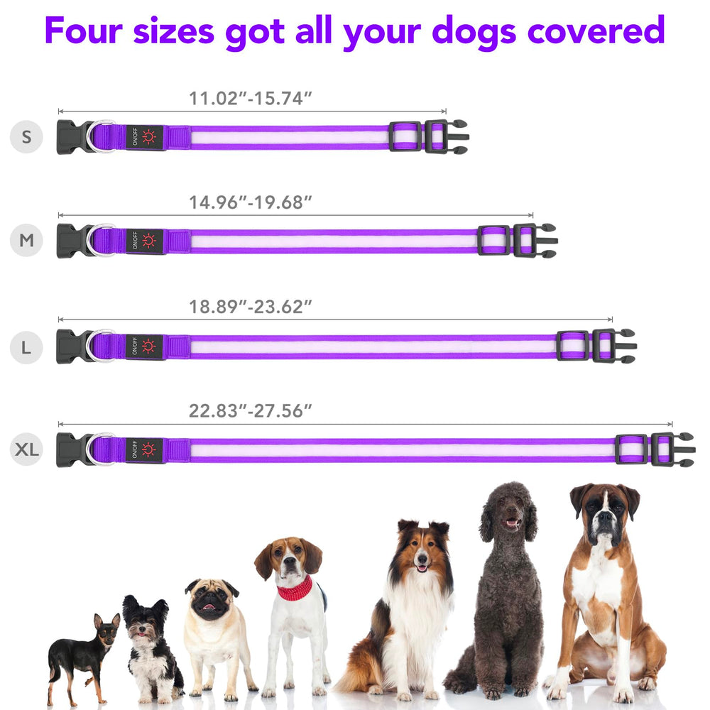 VIZPET collar LED morado, tres modos de iluminación para distintas situaciones.
