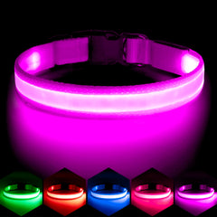VIZPET collar LED morado, vista frontal iluminada para mayor visibilidad.