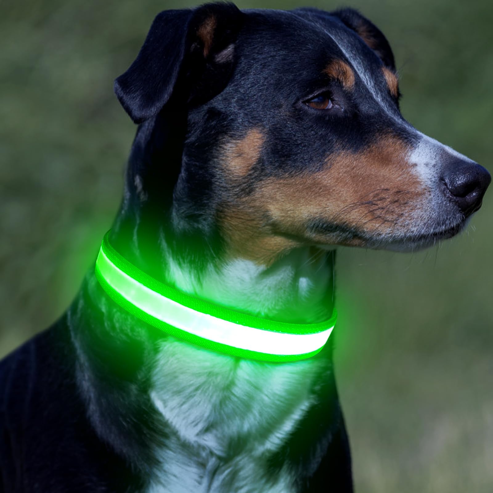 Vizpet collar LED recargable por USB, ideal para paseos a cualquier hora.