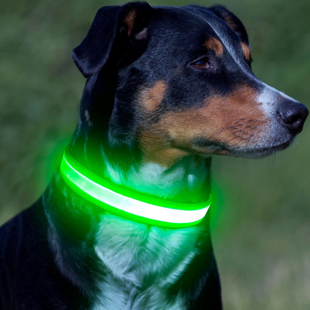 Vizpet collar LED recargable por USB, ideal para paseos a cualquier hora.