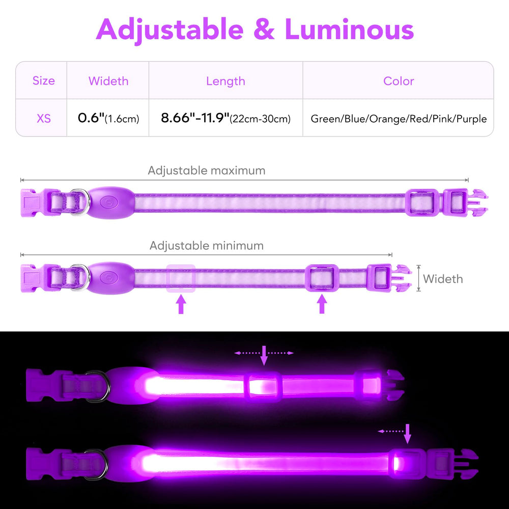 Vizpet collar luz para perros pequeños en morado, llamativo y cómodo de llevar.