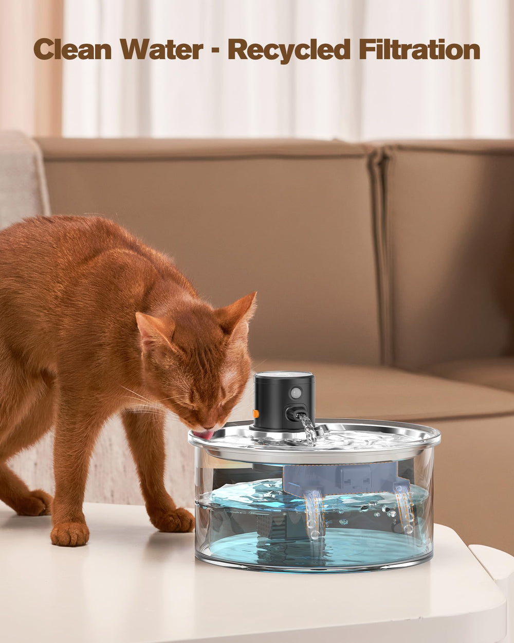 VKIMISS-multi-pet-design demonstrates suitability for households with several cats.