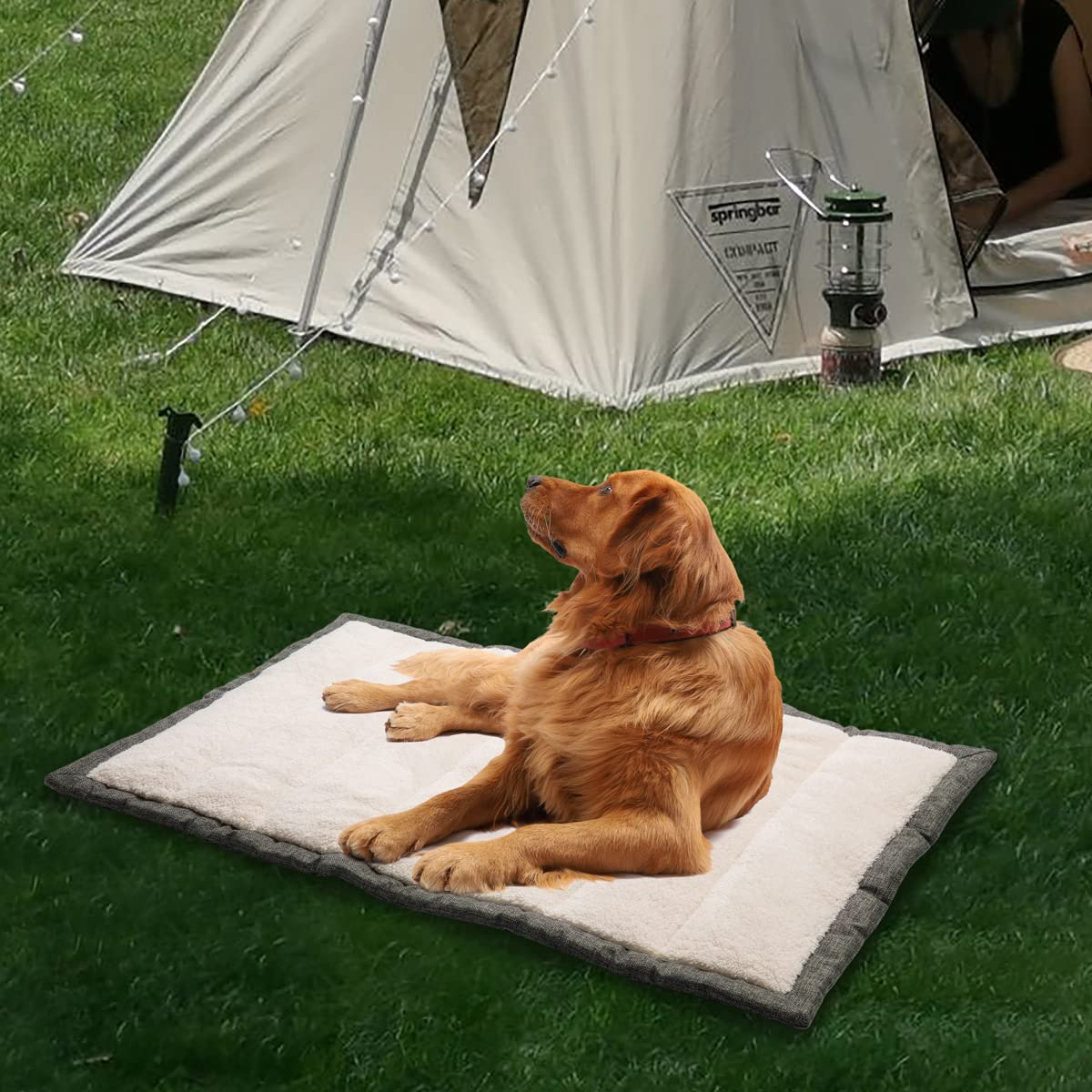 vmgreen Outdoor Dog Bed in car setup highlights travel ready comfort