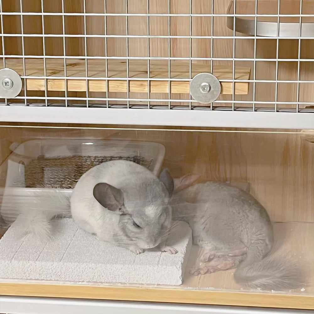 VOCLS guinea-pig-ferret-friendly design supports boredom relief during cage time.