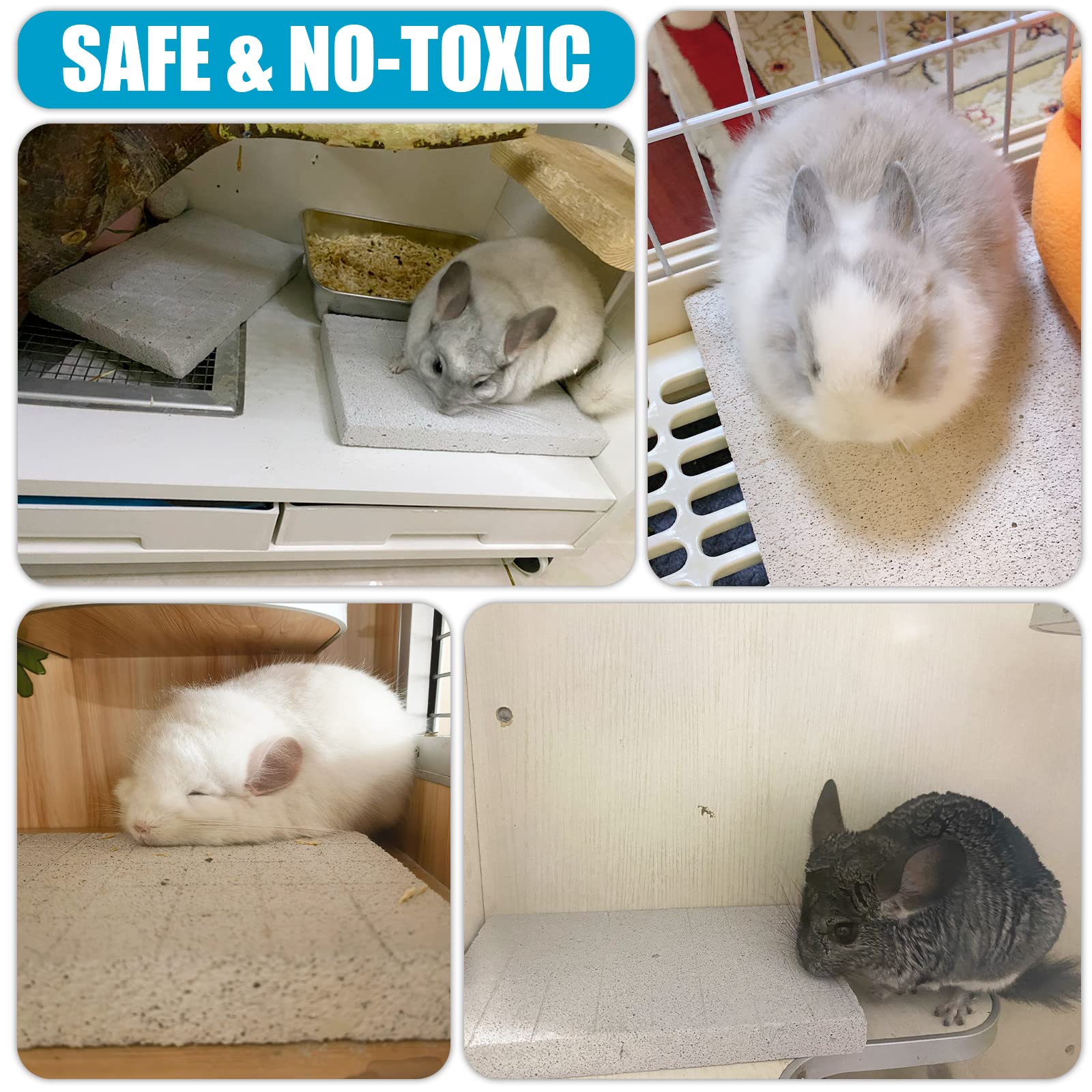 VOCLS small-pet durability-safety demonstrates sturdy lava pad for nibbling.