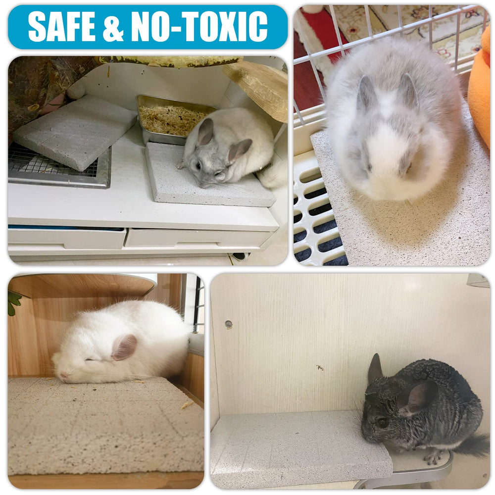 VOCLS small-pet durability-safety demonstrates sturdy lava pad for nibbling.