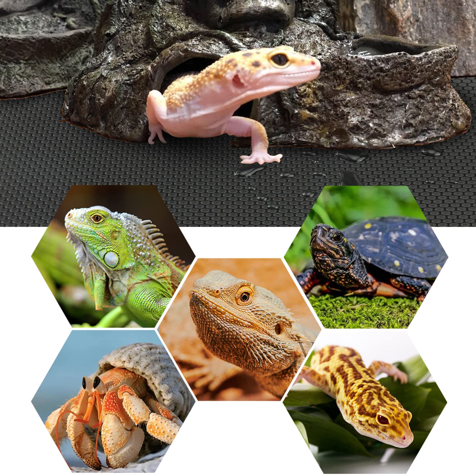 Vodolo bearded dragon tank carpet nonstick surface prevents paw sticking and eases cleaning.