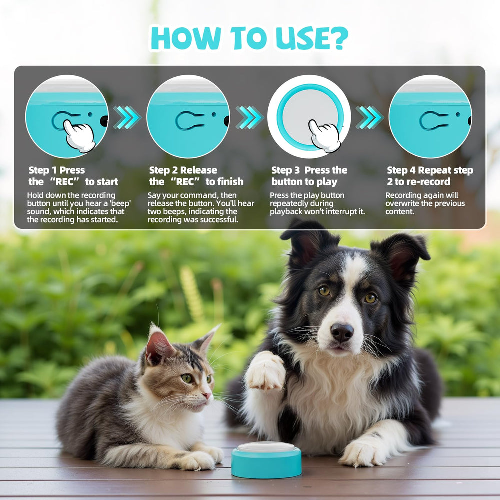 Voice Recording Button dog-training setup demonstrates easy press-to-record interaction