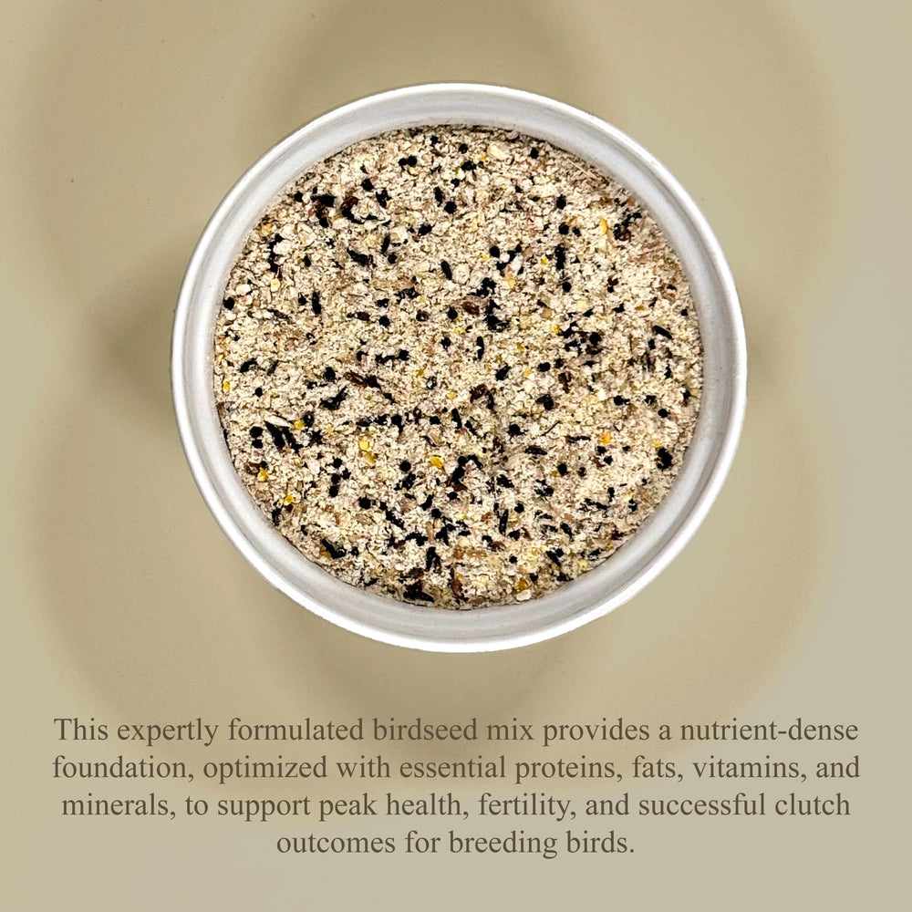 Volkman Petamine Breeder Formula 2lb seed-grain mix—varied textures for palatable, consistent nourishment.