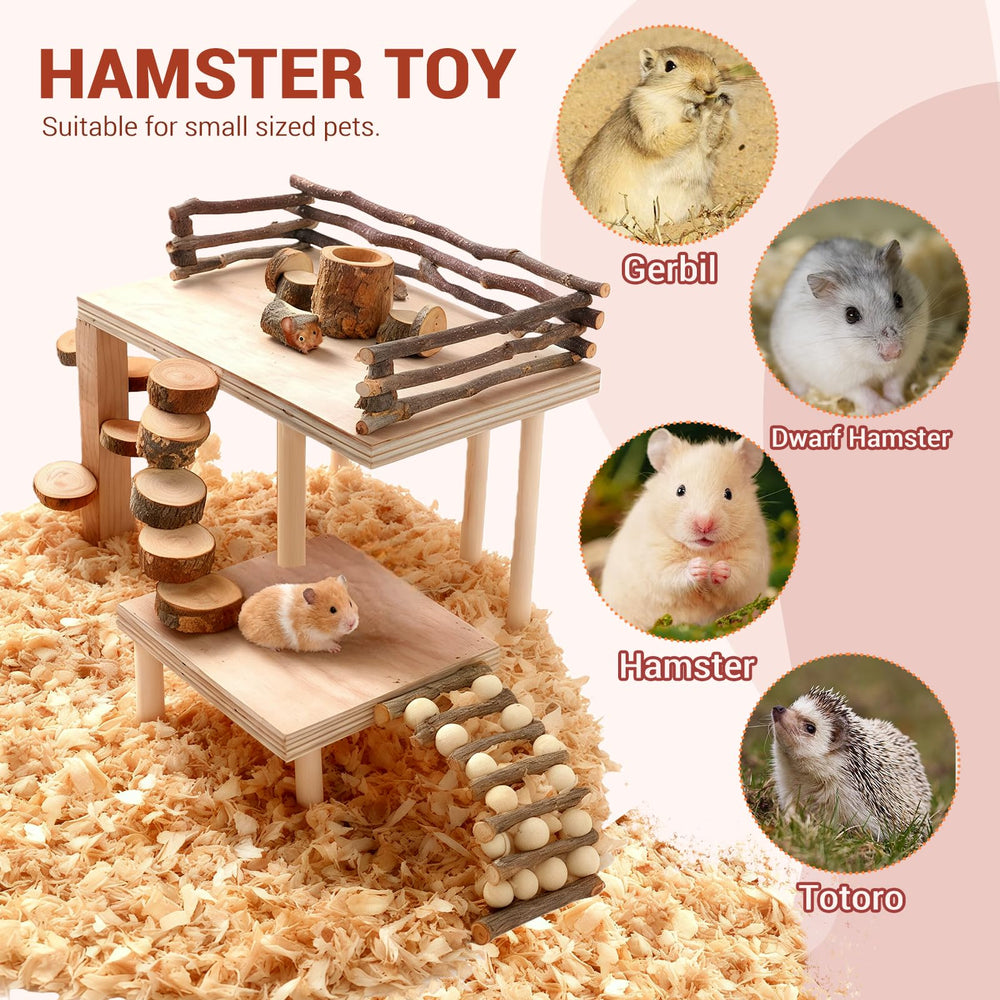 VolksRose climbing ladder and ramp close-up shows easy access and enrichment for rodents.
