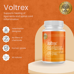 Voltrex dog powder with scoop demonstrates easy daily dosing for joint mobility.