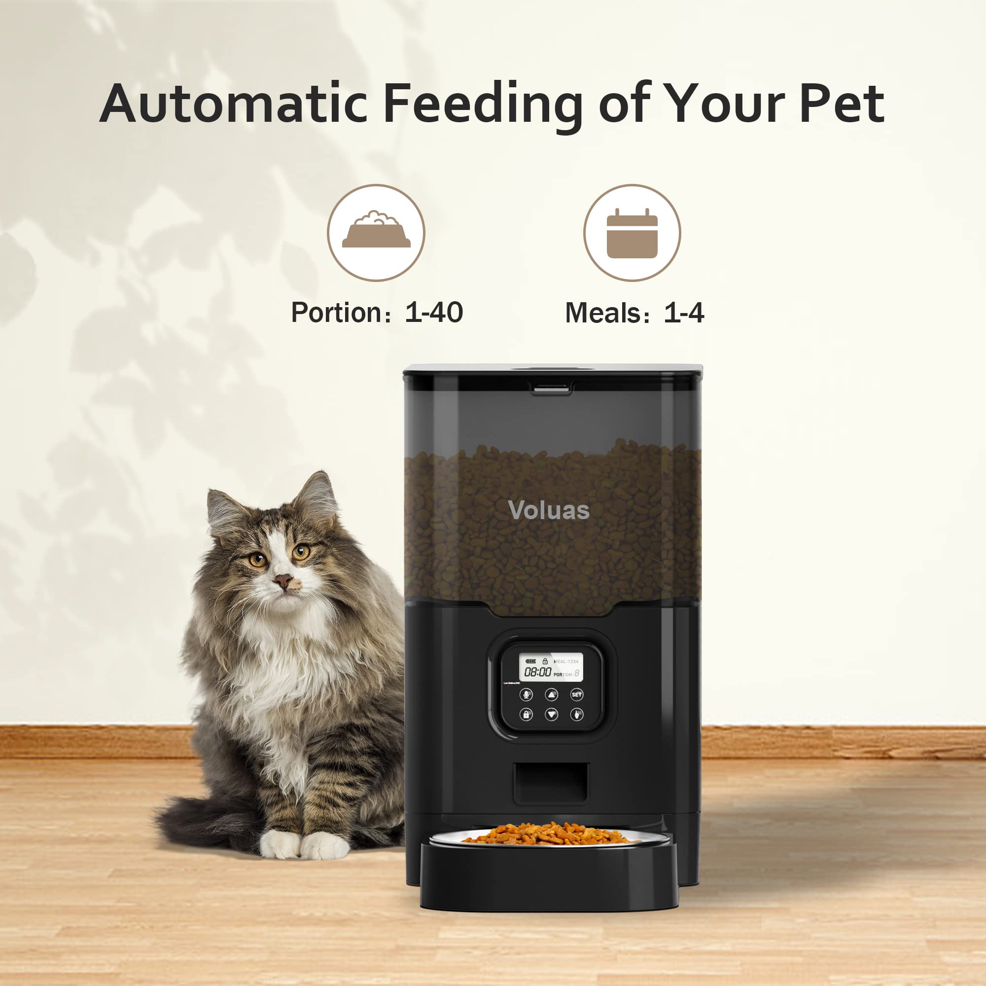 Voluas cat dispenser timer desk setup shows quick programming and portions.