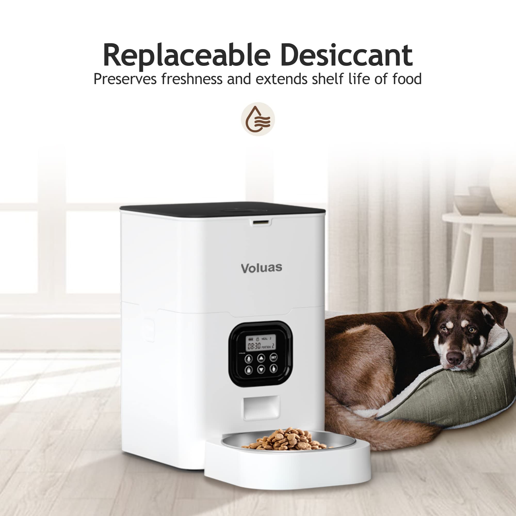 Voluas compact feeder positioned in a corner suitable for small spaces