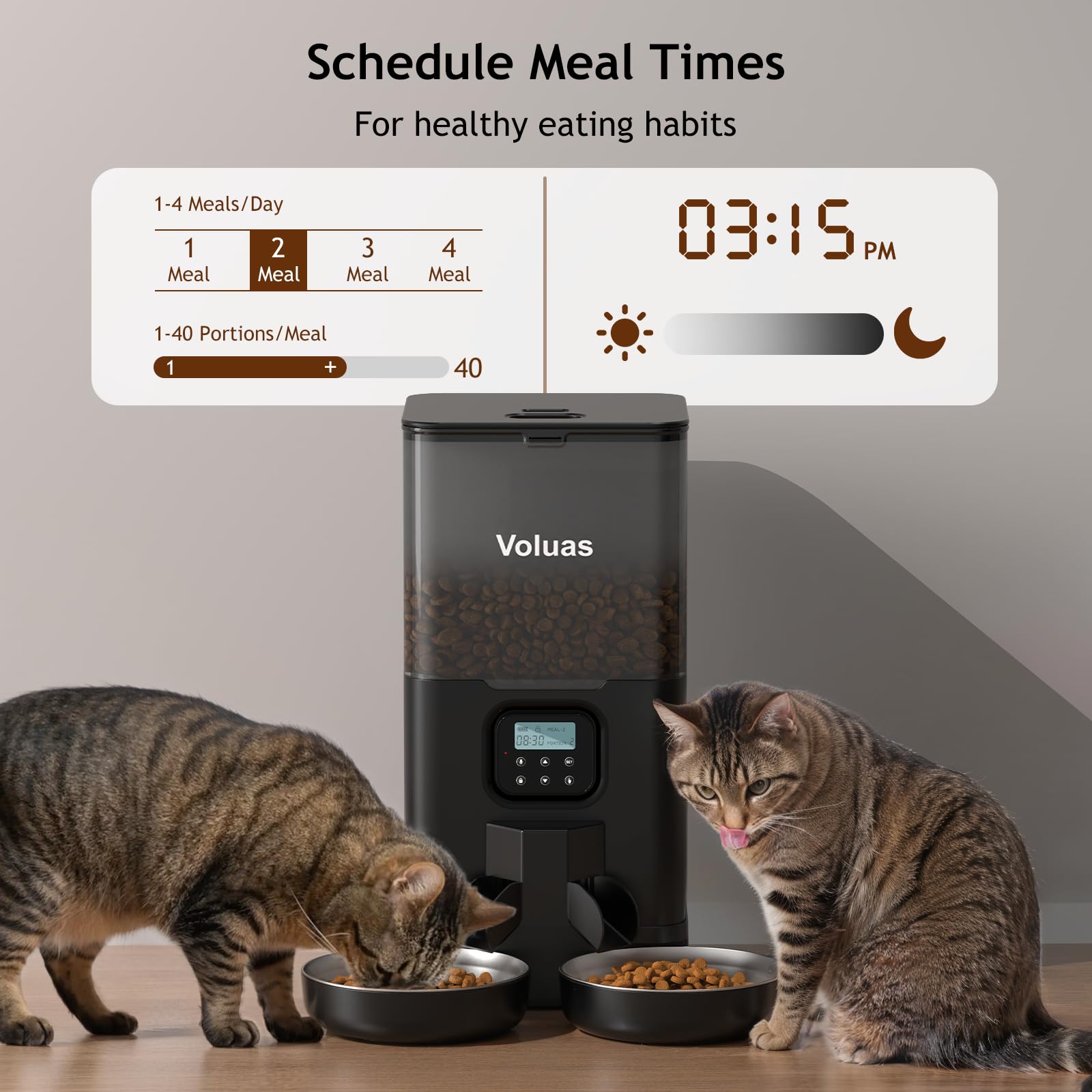 Voluas feeder with meal divider for equal portions