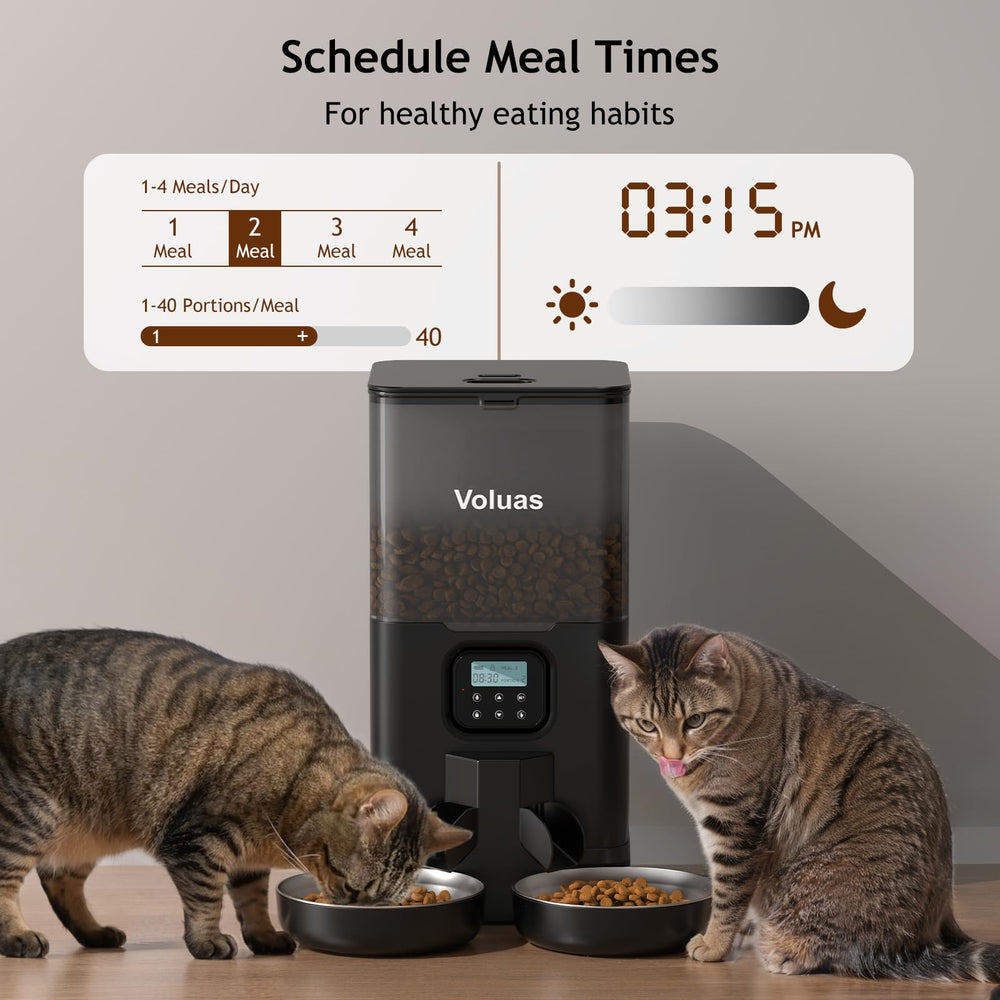 Voluas feeder with meal divider for equal portions